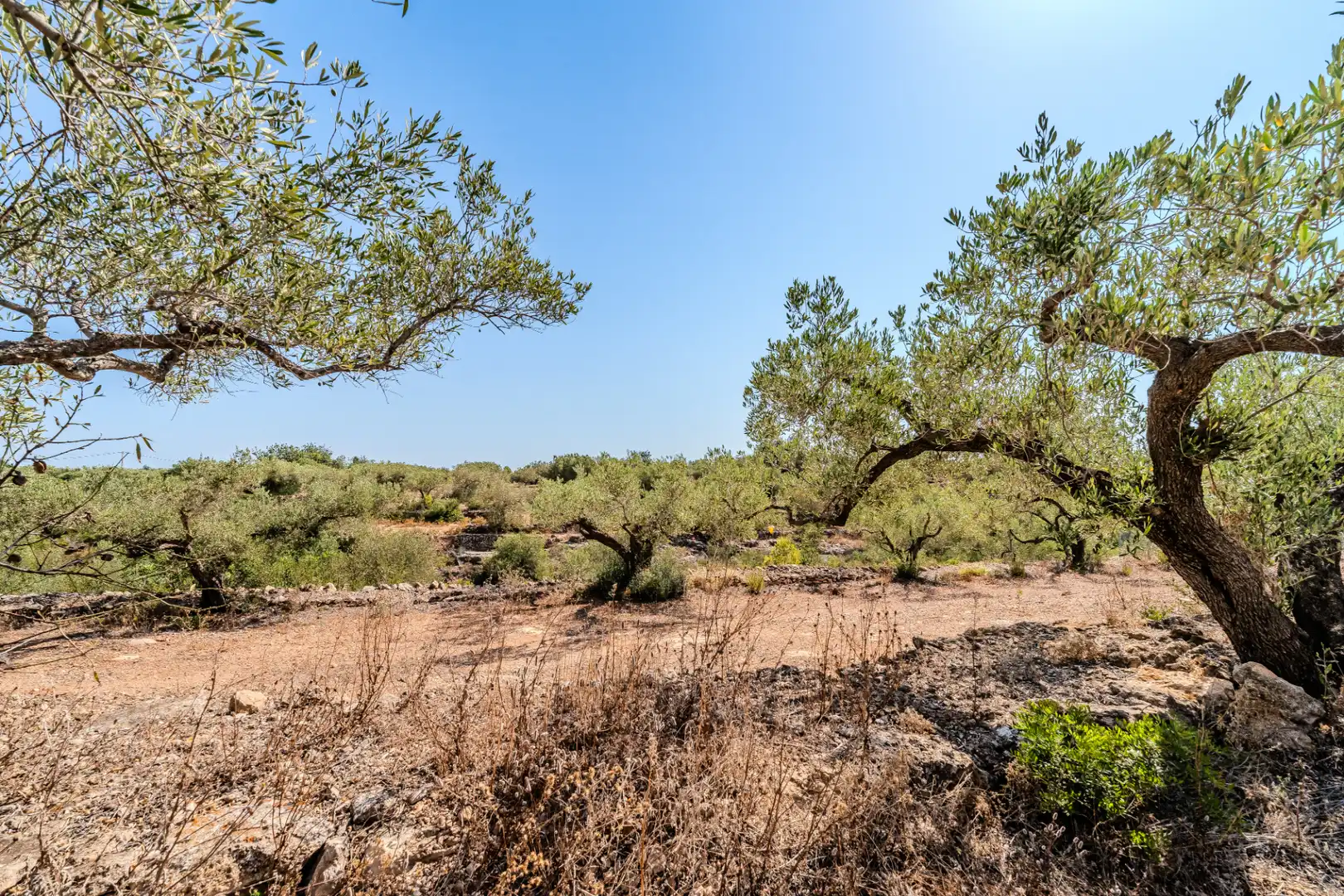 Houses for sale in L'Ampolla  with Private garden, Terrace and Storage room