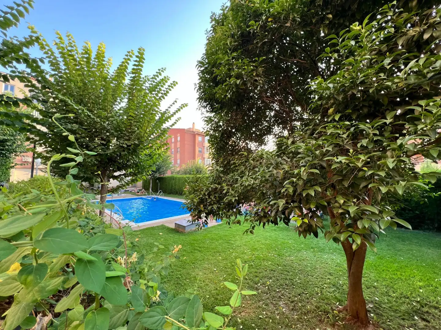 Swimming pool of Flat for rent in Granada  with Heating, Terrace and Furnished