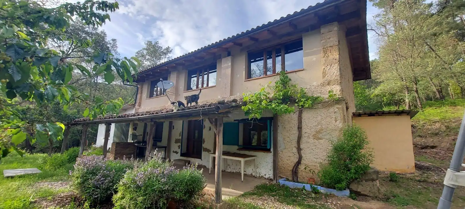 Exterior view of Houses for sale in Villanueva de la Vera