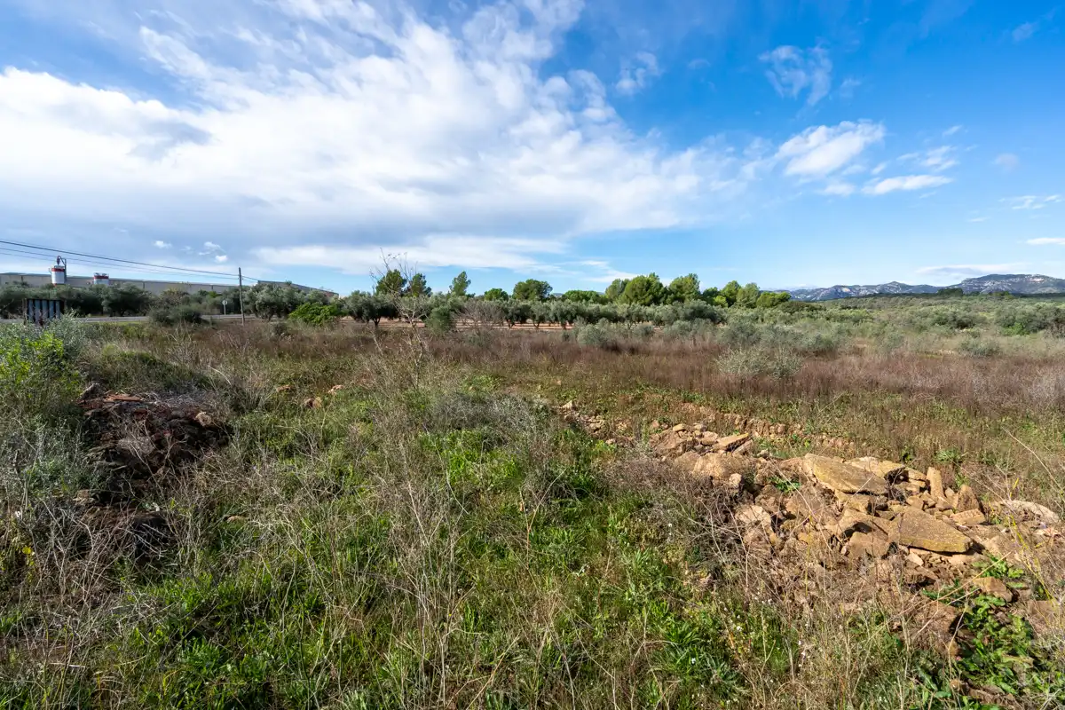 Rural land for sale in La Sénia, imagen 4