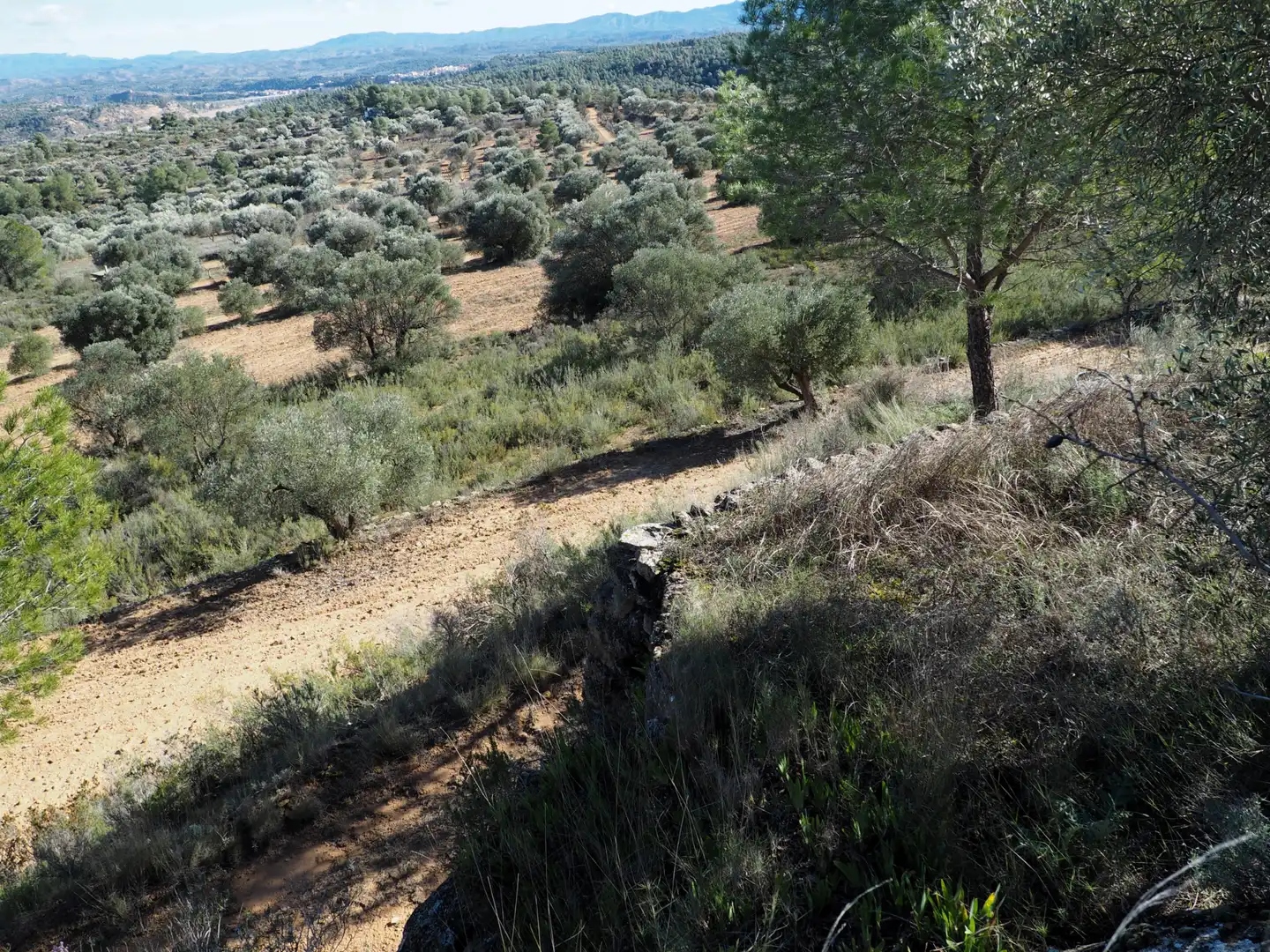 Rustikales Grundstück zum Verkauf in Carretera de Riba-roja, imagen 7