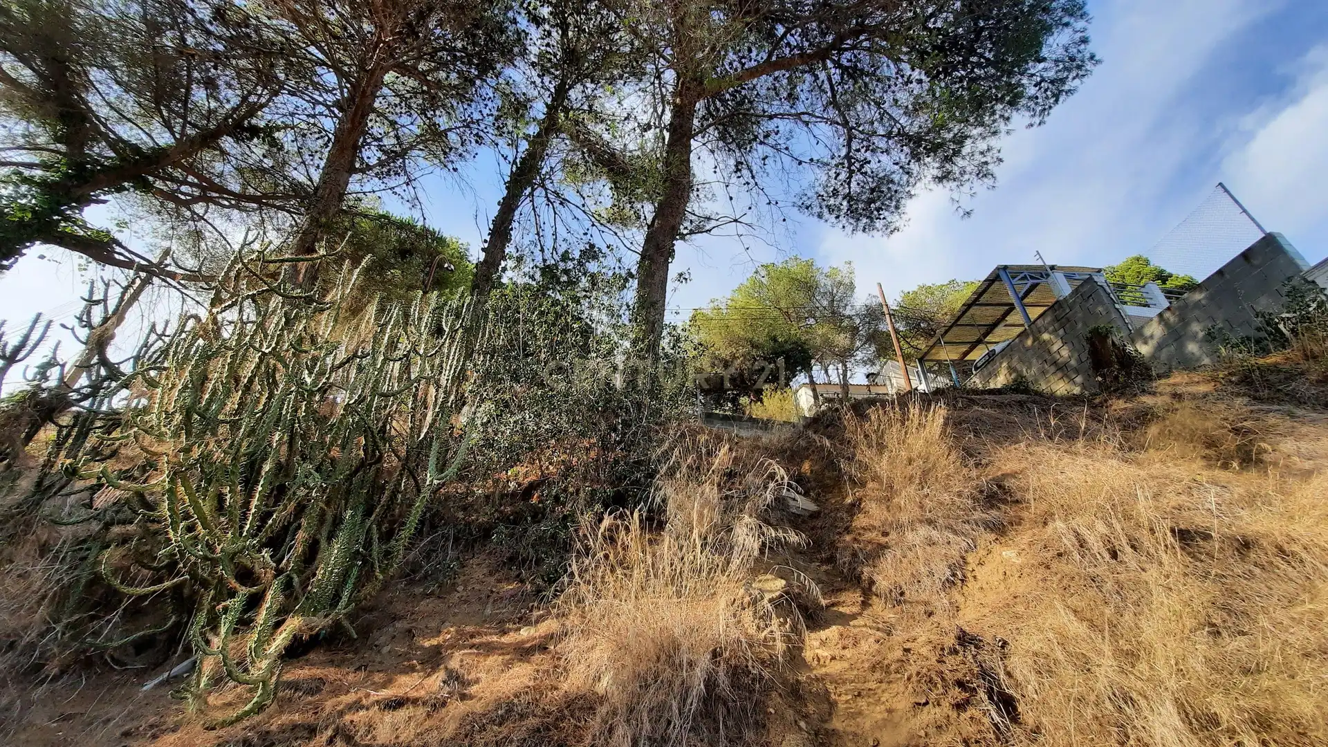 Casa o xalet en venda en Argentona