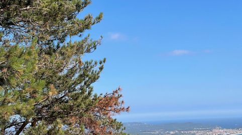 CastellPlatja dAroTerreno