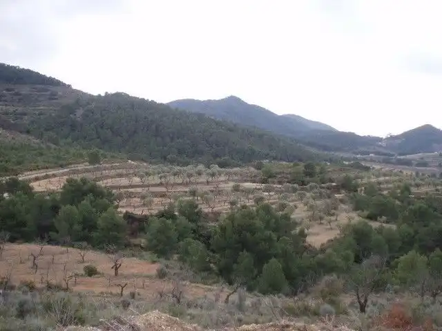 Rural land for sale in torremanzanas, imagen 2