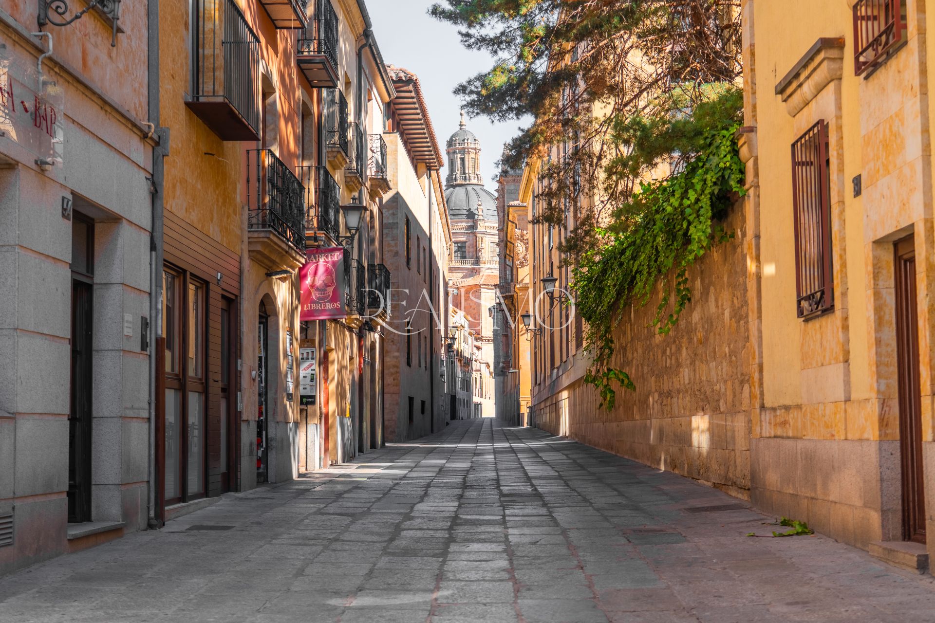 Vista exterior de Apartament en venda en Salamanca Capital amb Calefacció, Parquet i Moblat