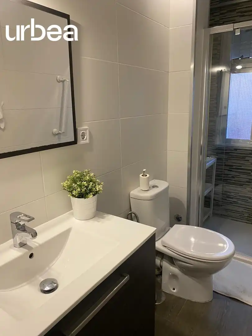 Wohnung zur Miete in Alameda de los Capuchinos, imagen 2