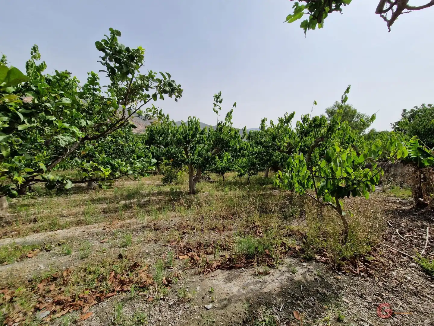 Country homes for sale in Lobres