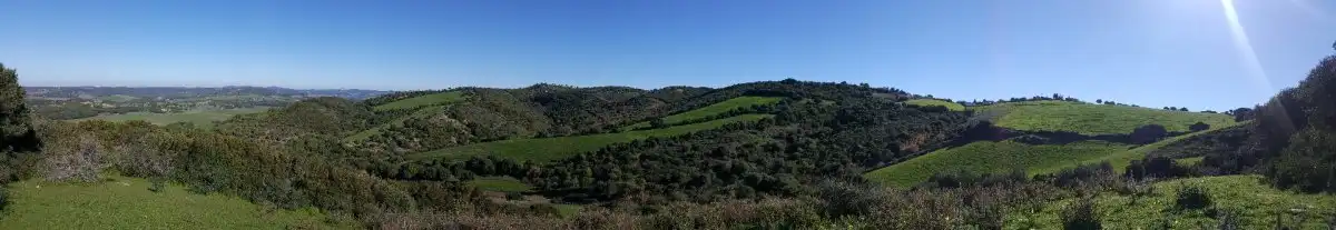 Terrain rustique à vendre à Vejer, imagen 4