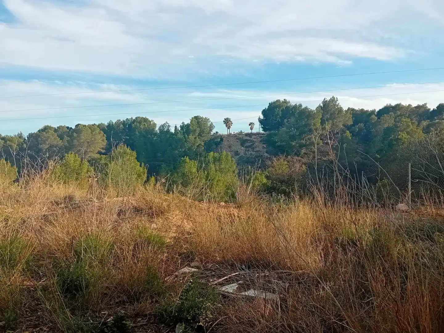 Terrenos y solares en venta en Escandinavia - Cautivador, imagen 4