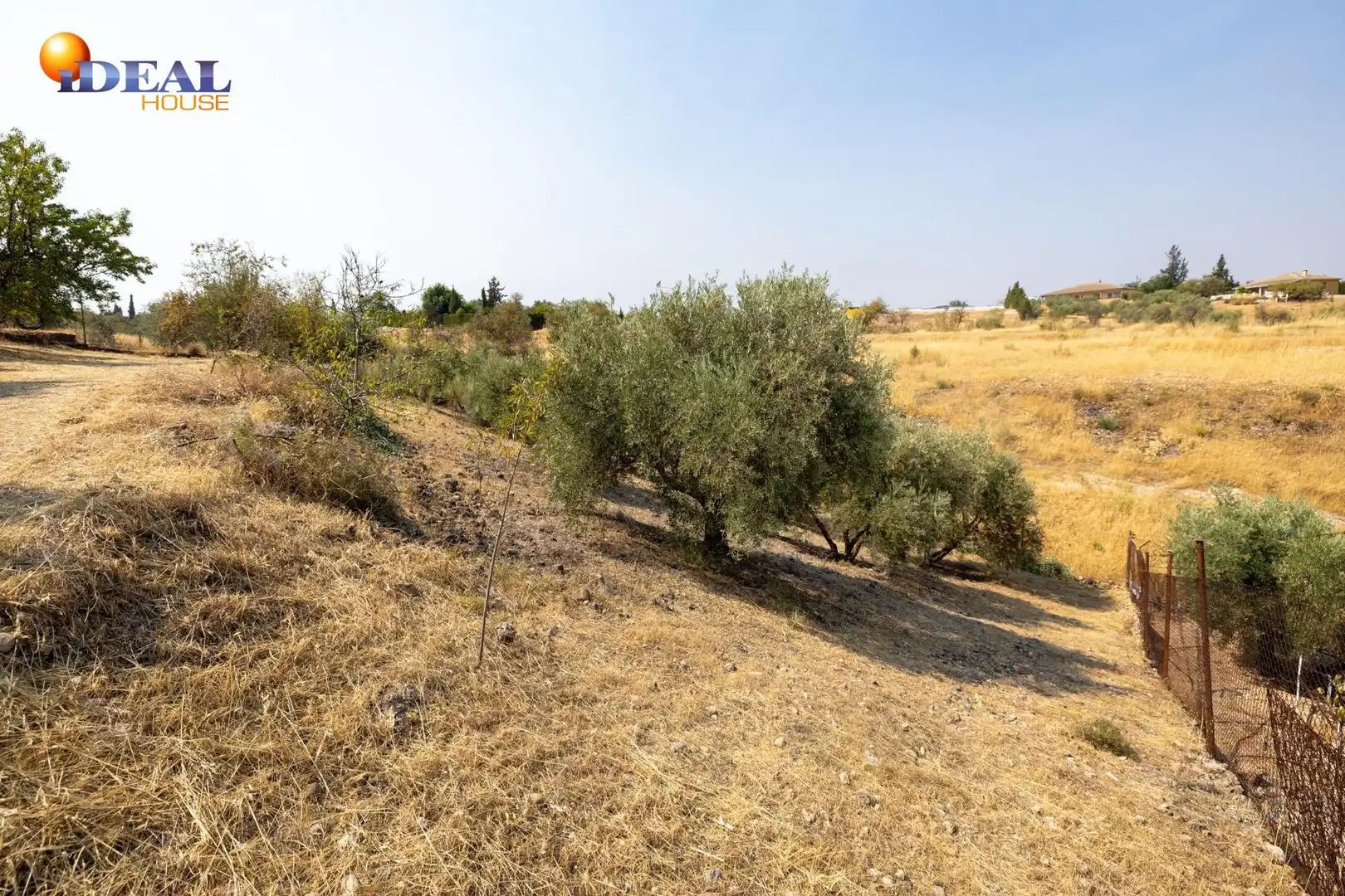 Finca rústica en venta en Moraleda de Zafayona