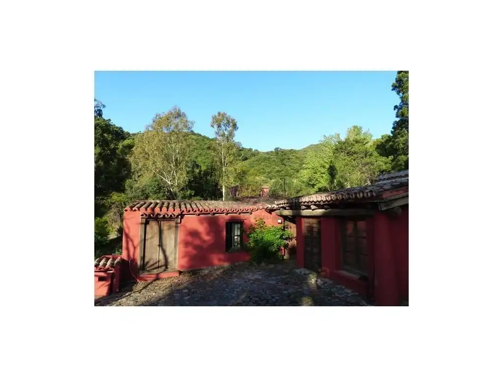 Vista exterior de Finca rústica en venta en Benahavís