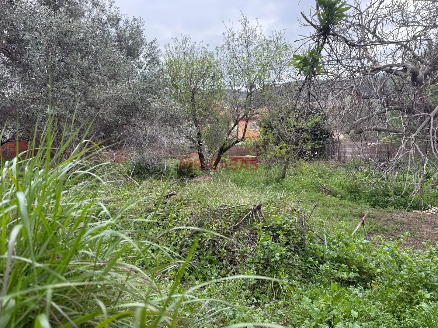 Residential land for sale in Carrer de Lleó, imagen 7