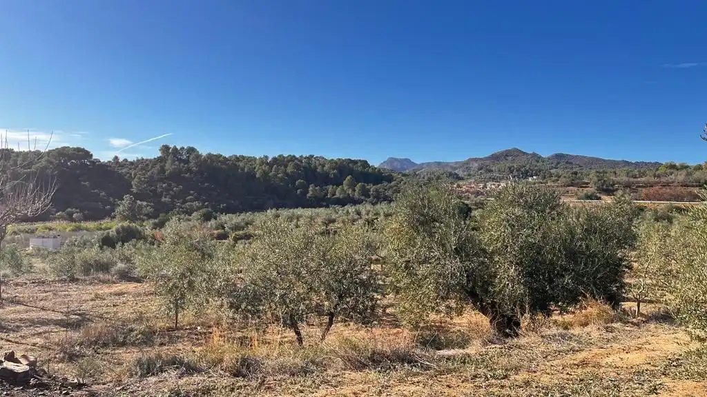 Terreny rústic en venda a Carrer del Dimecres, imagen 18