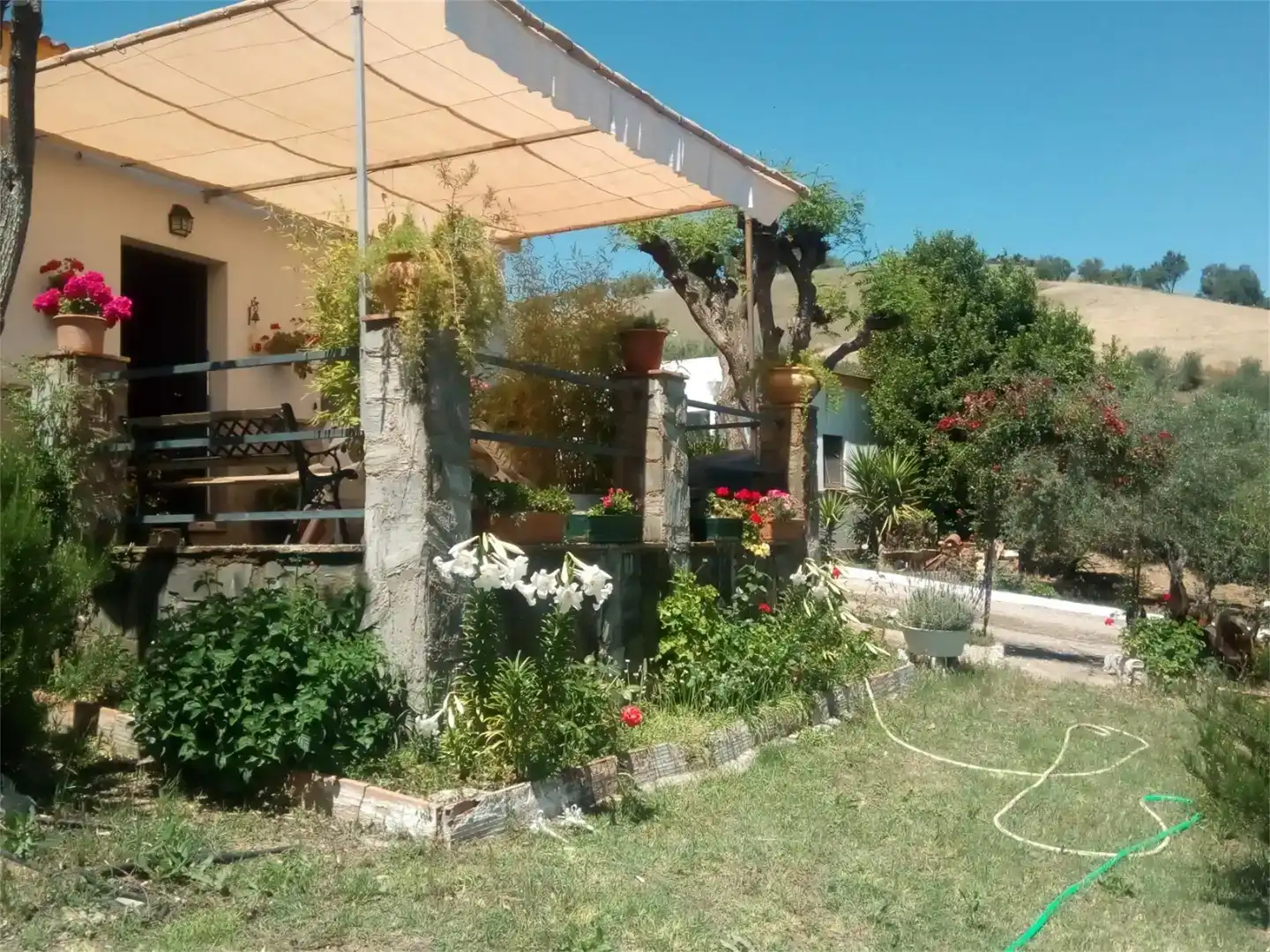 Jardín de Terreno en venta en Montellano