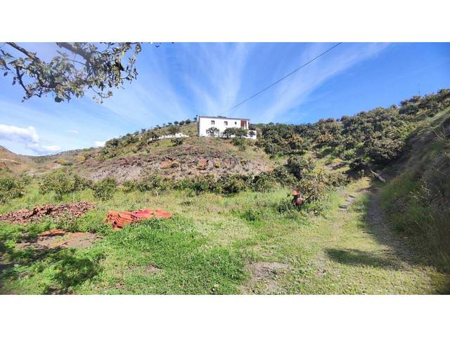 Terreno en Venta en Calle paraje en Norte - Barrio del Pilar - El Reñidero