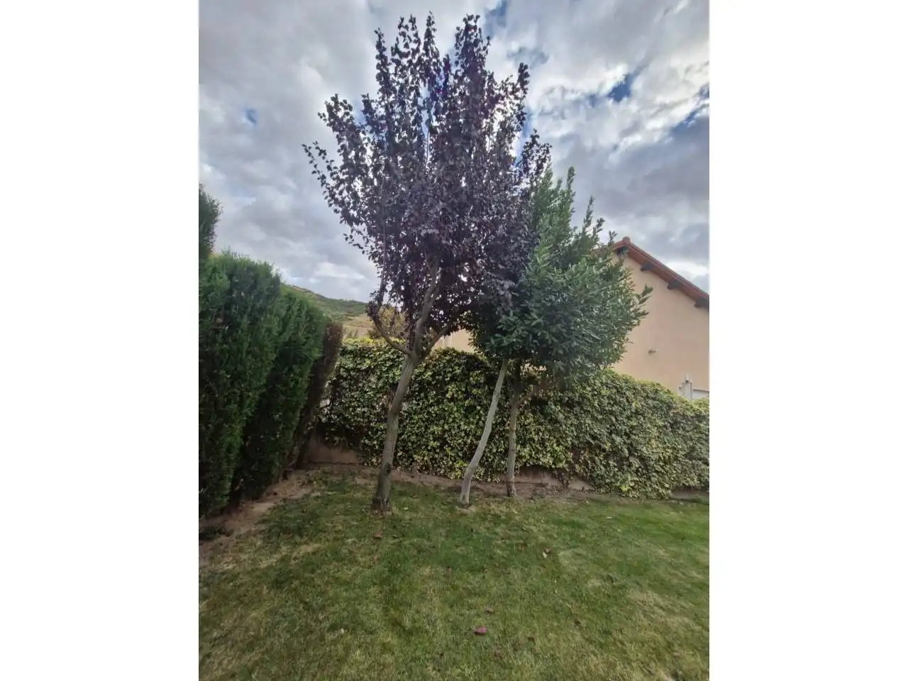 Casa o chalet en venta en Carretera Ctra. de Logroño, 132, Agoncillo
