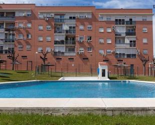 Swimming pool of Apartment to share in Montequinto  with Air Conditioner, Heating and Oven