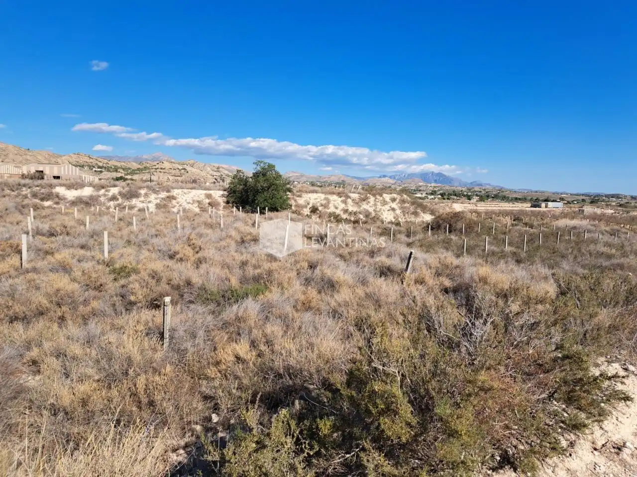 Terreny residencial en venda a Partidas de Alicante, imagen 32