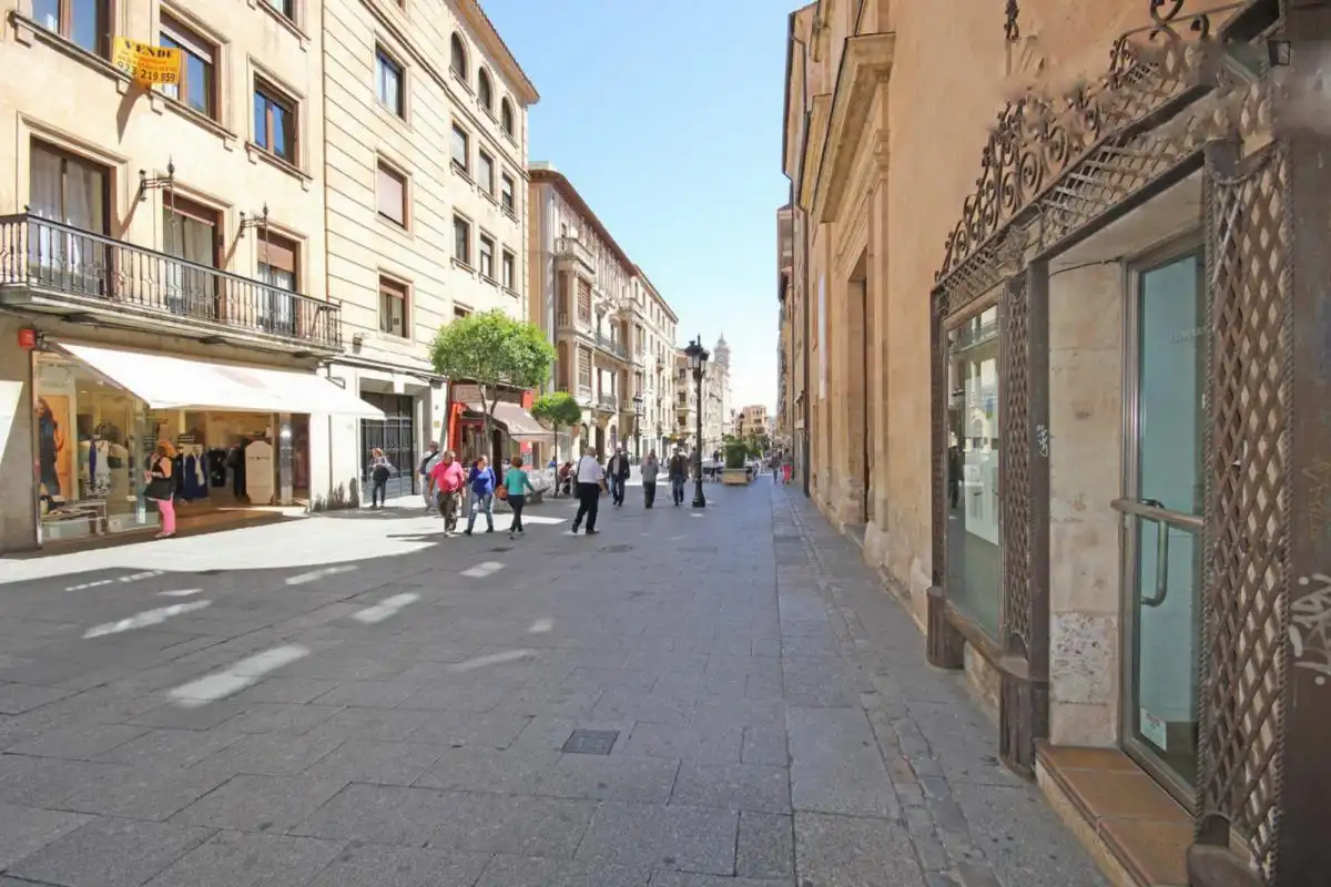Apartament amb ascensor de lloguer a Centro, imagen 48