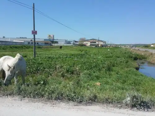 Terreni e lotti in vendita a Carretera Carmona 52, imagen 11