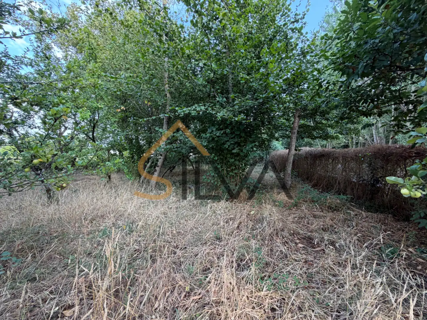 Casa o xalet en venda en Outeiro de Rei amb Calefacció, Jardí privat i Terrassa