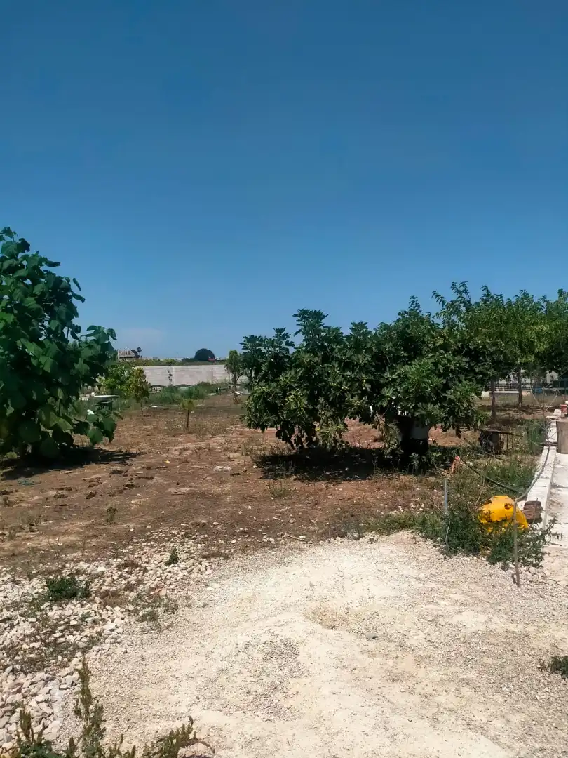 Finca rústica en venda en Oliva amb Terrassa i Traster