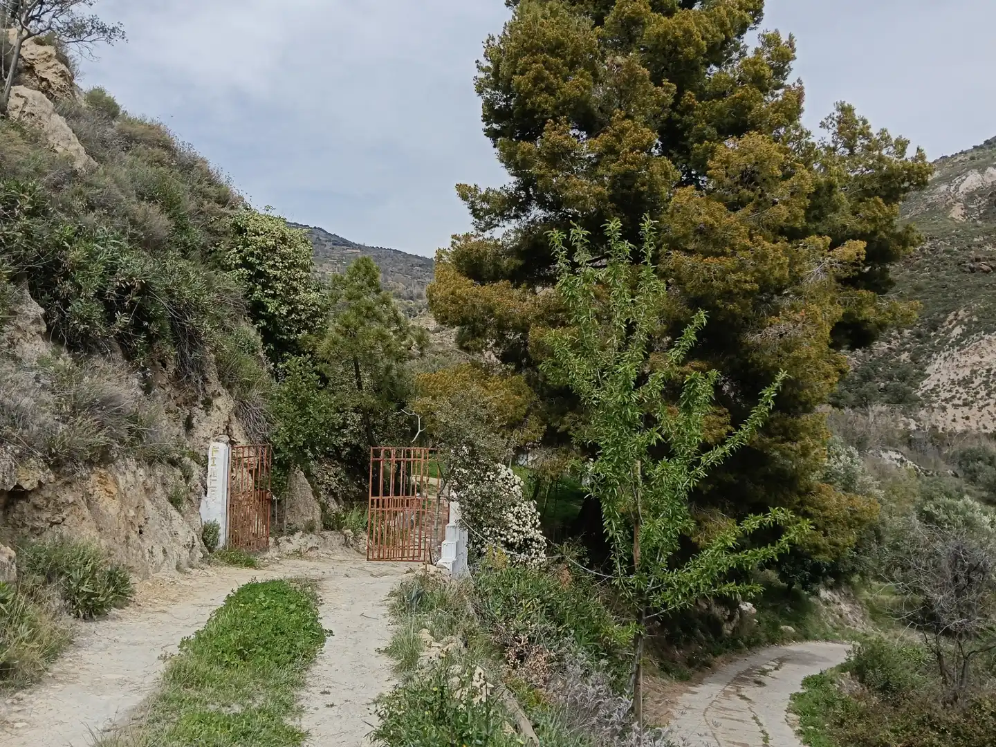 Terreni e lotti in vendita a Alpujarra de la Sierra