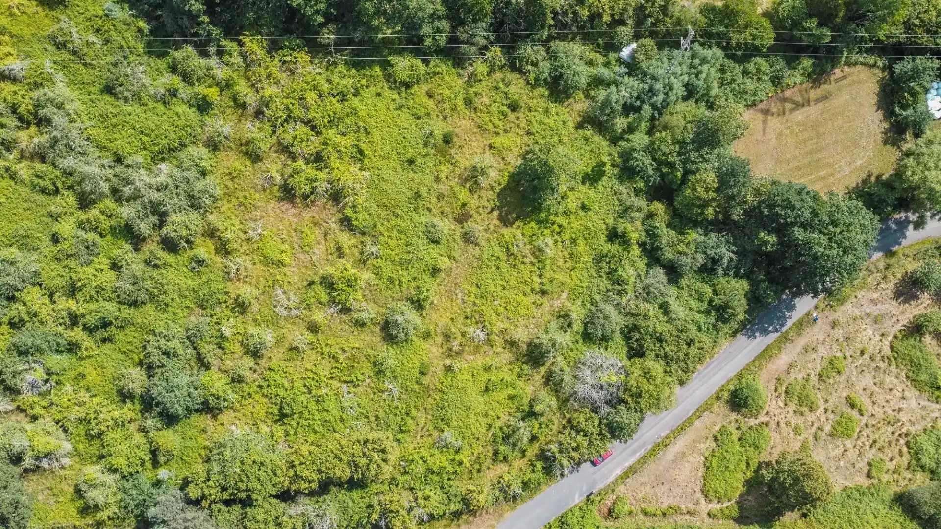 Rural land for sale in del pareo, imagen 28