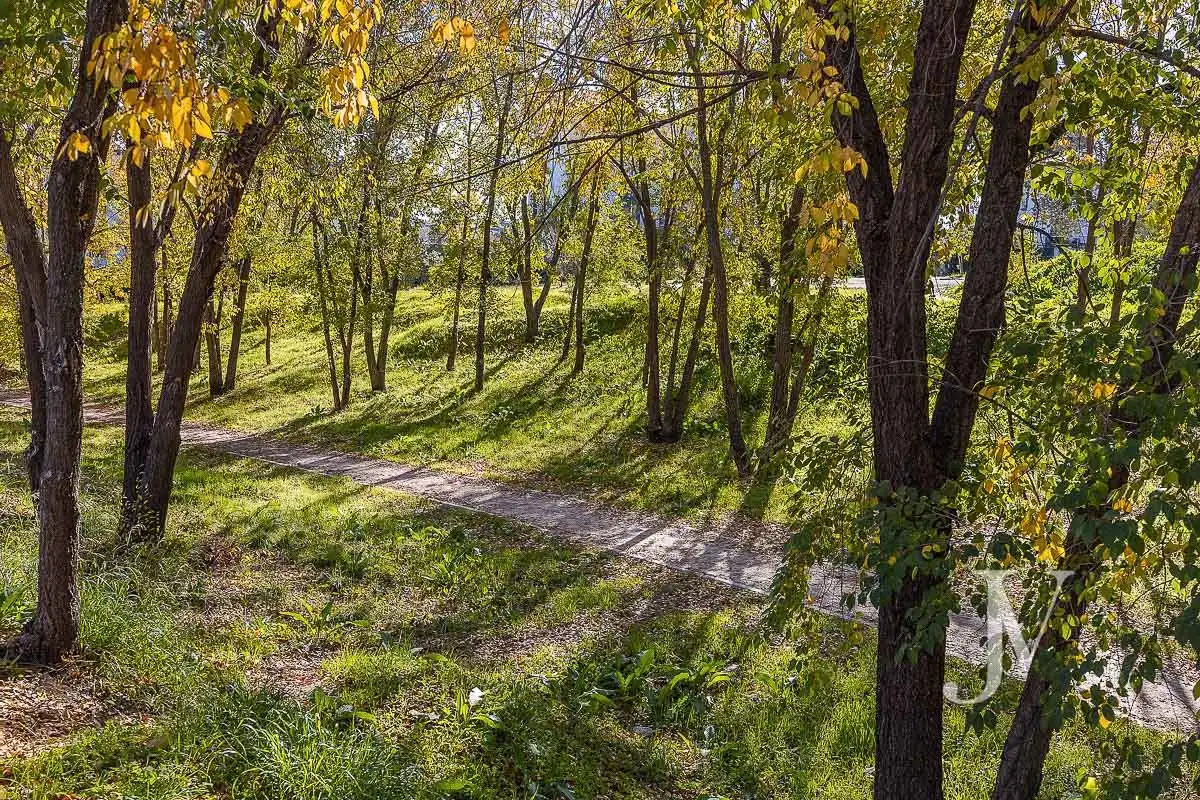 Terreno residencial en venta en Moncloa - Aravaca, imagen 26