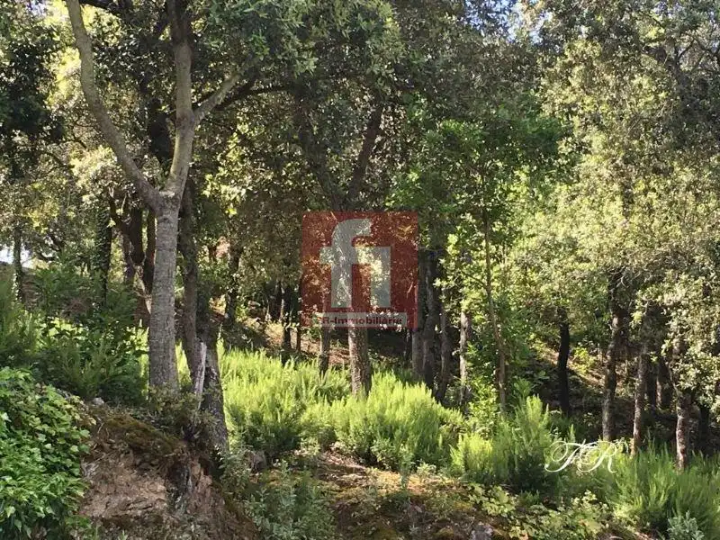 Terrenys i solars en venda a El Racó - Sant Feliu del Racó, imagen 27