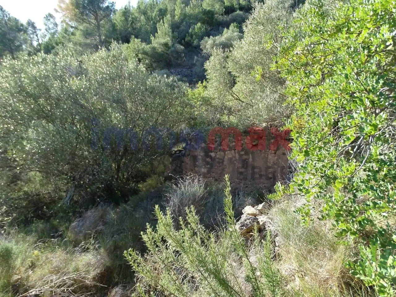 Terrain résidentiel à vendre à Xerta, imagen 29