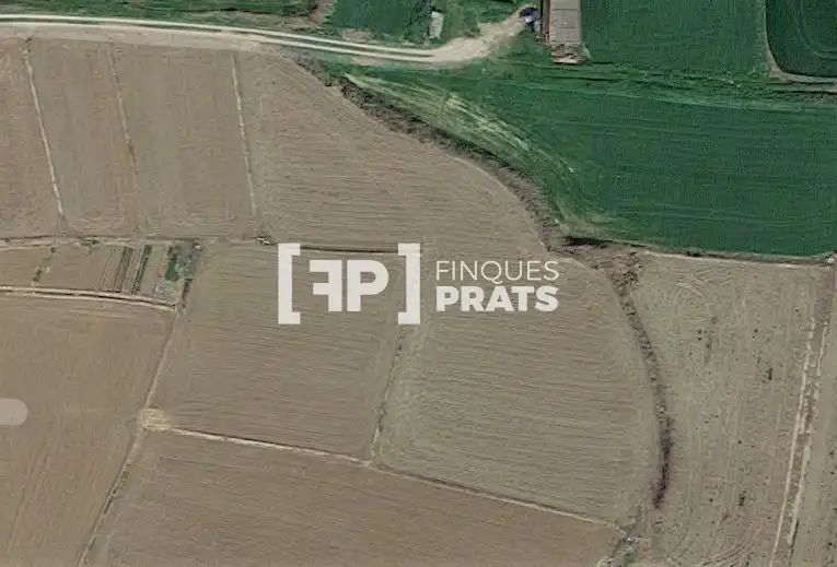 Terreno en venta en Almenar