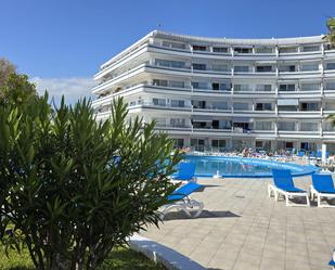 Swimming pool of Planta baja to rent in Adeje  with Air Conditioner, Terrace and Furnished