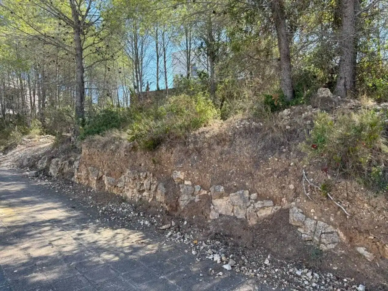 Terreny residencial en venda a Calle  RIERA DE BEGUES, imagen 3