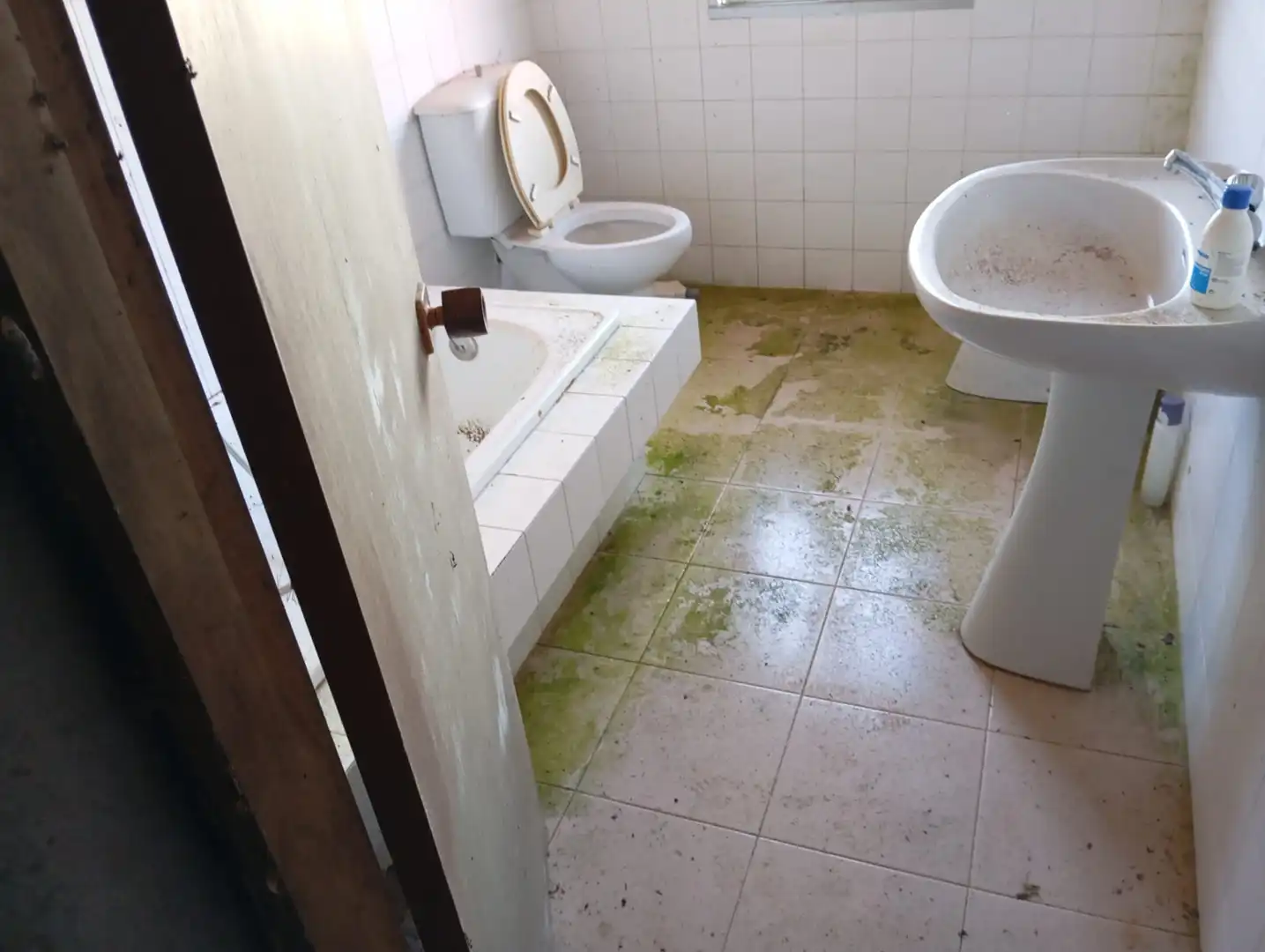 Haus zum Verkauf in Seavia 10, imagen 14