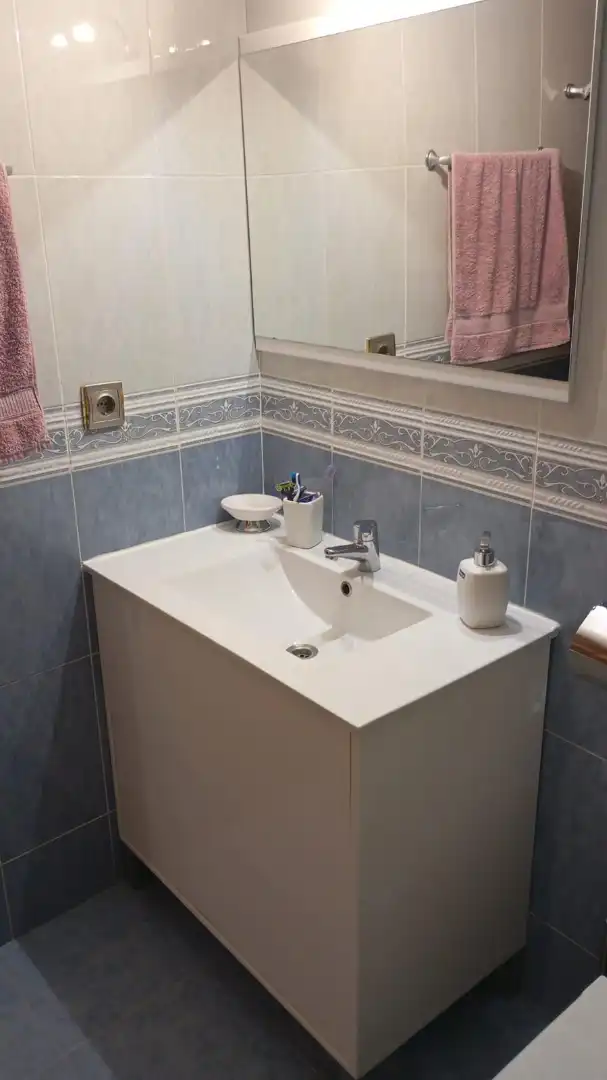 Bathroom of Apartments for sale in Playa Poniente
