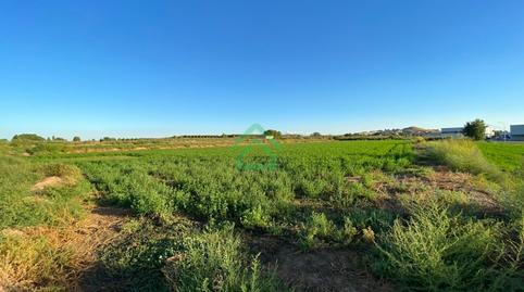 Photo 5 of House or chalet for sale in Calle Sitja, Alcoletge, Lleida