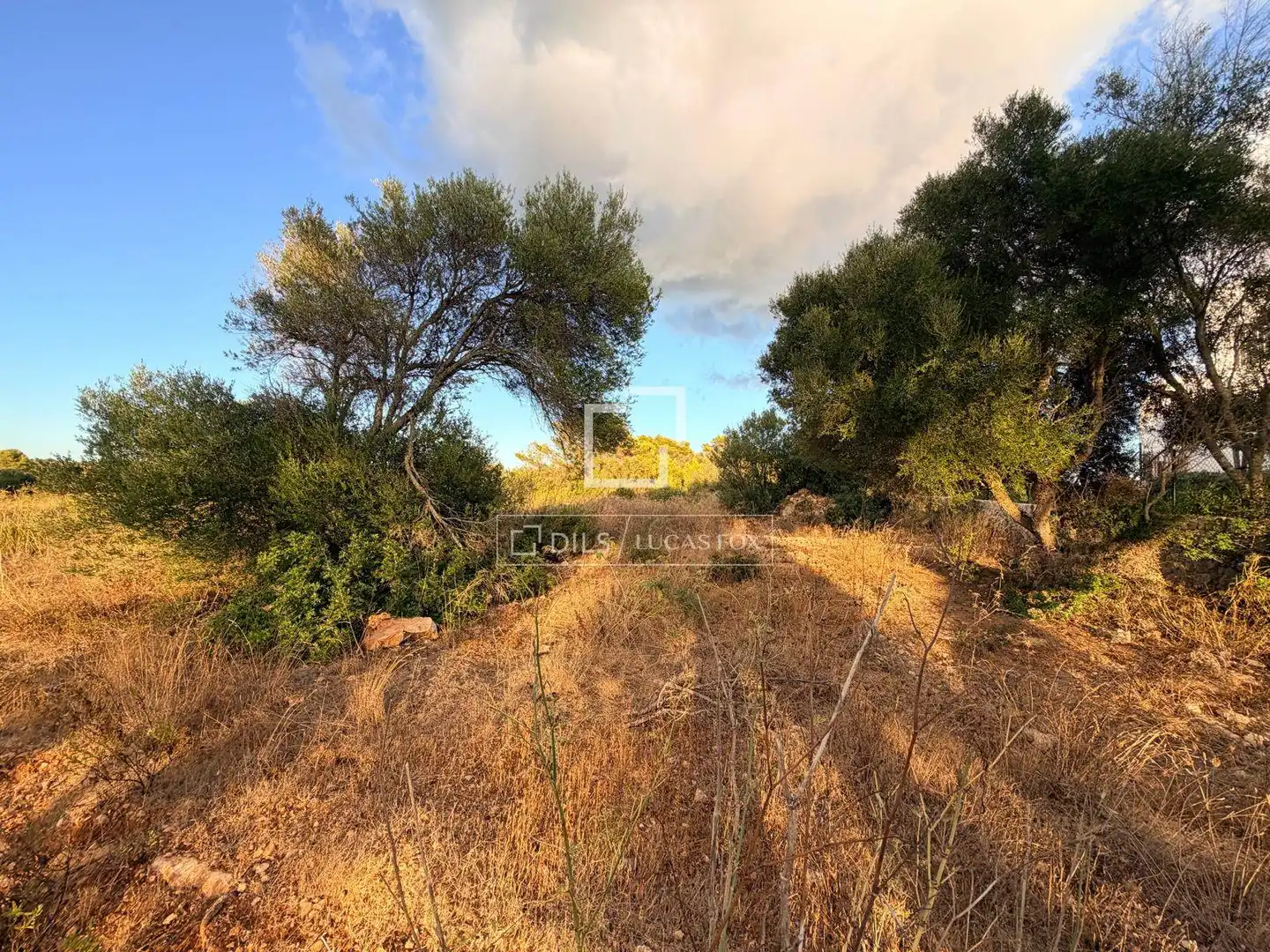 Rustikales Grundstück zum Verkauf in Sant Tomàs, imagen 17