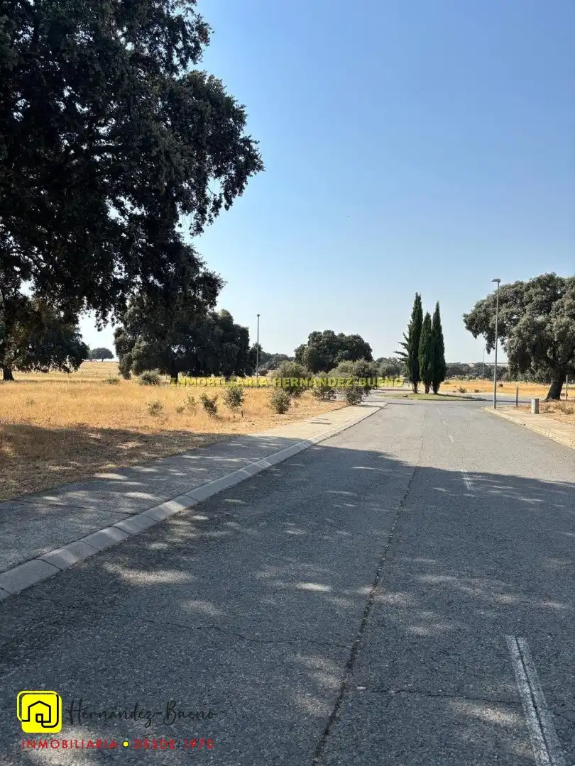 Finca rústica en venda a Buenavista