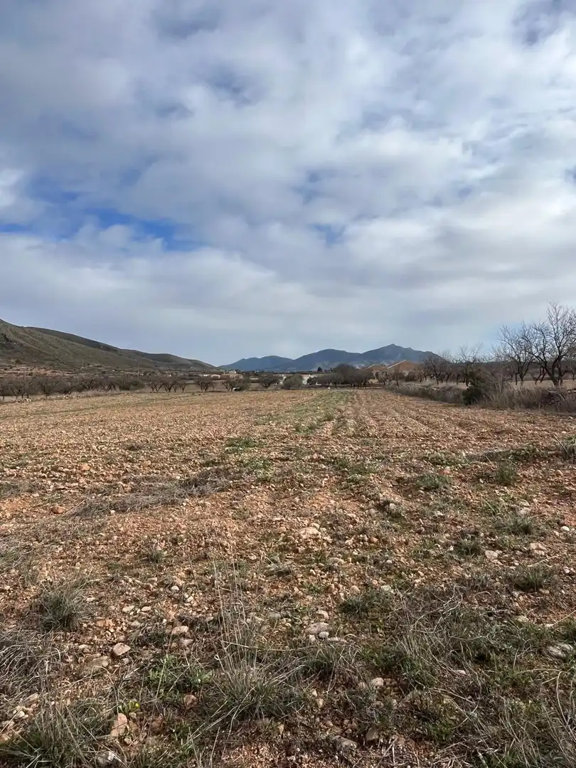 Residencial en venta en Hondón de los Frailes