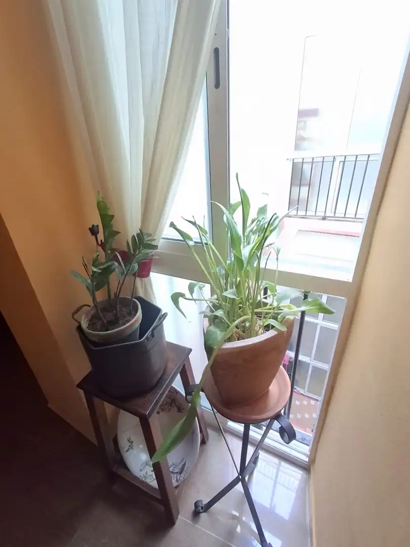 Terraza de Piso en venta en Cádiz con Balcón
