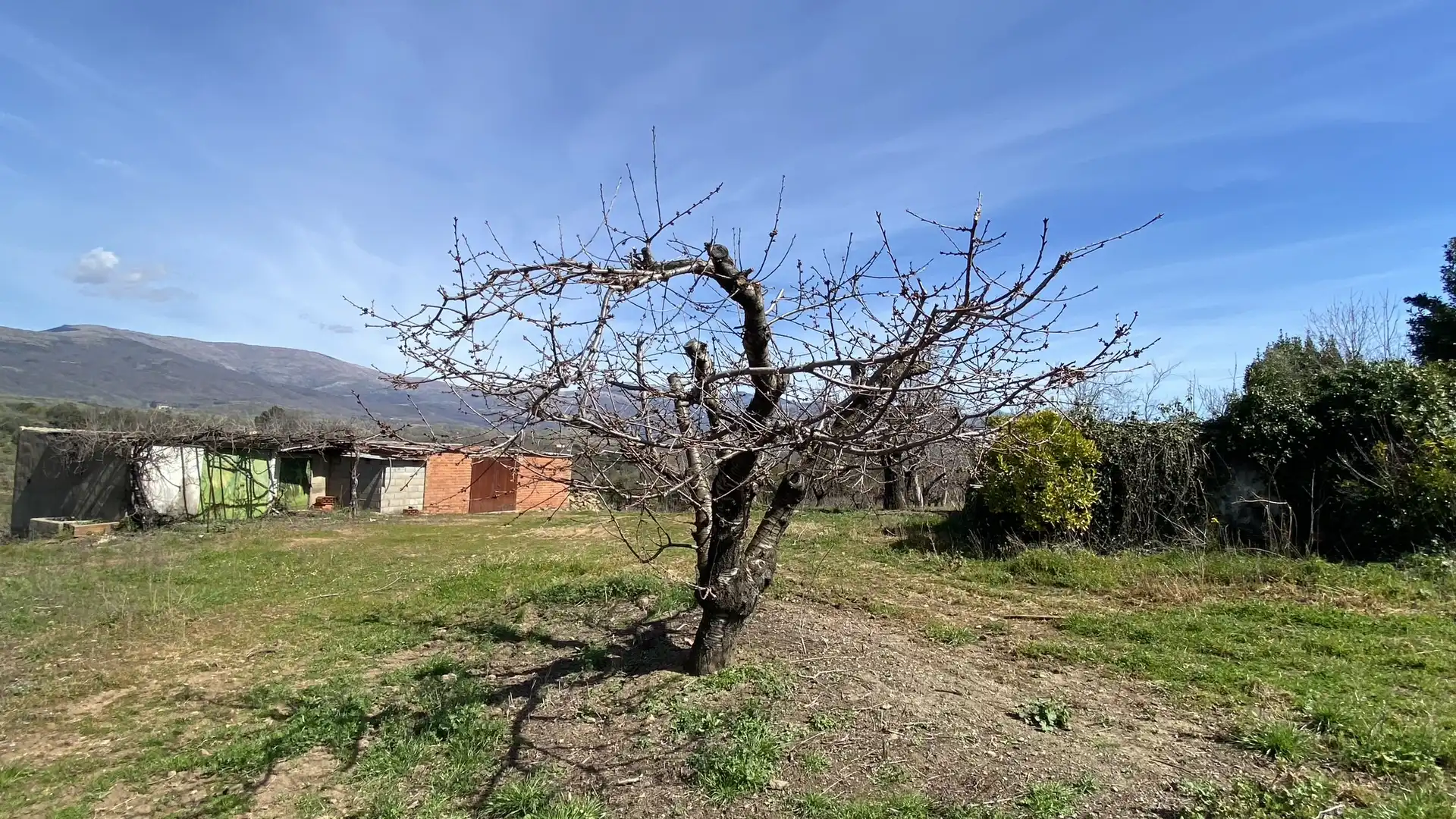 Terreni e lotti in vendita a Jaraíz de la Vera, imagen 14