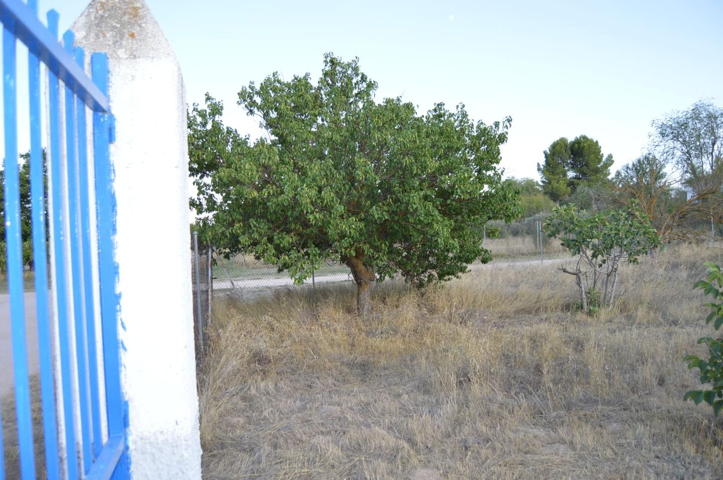 House or chalet for sale in Manzano, Villar de Cañas