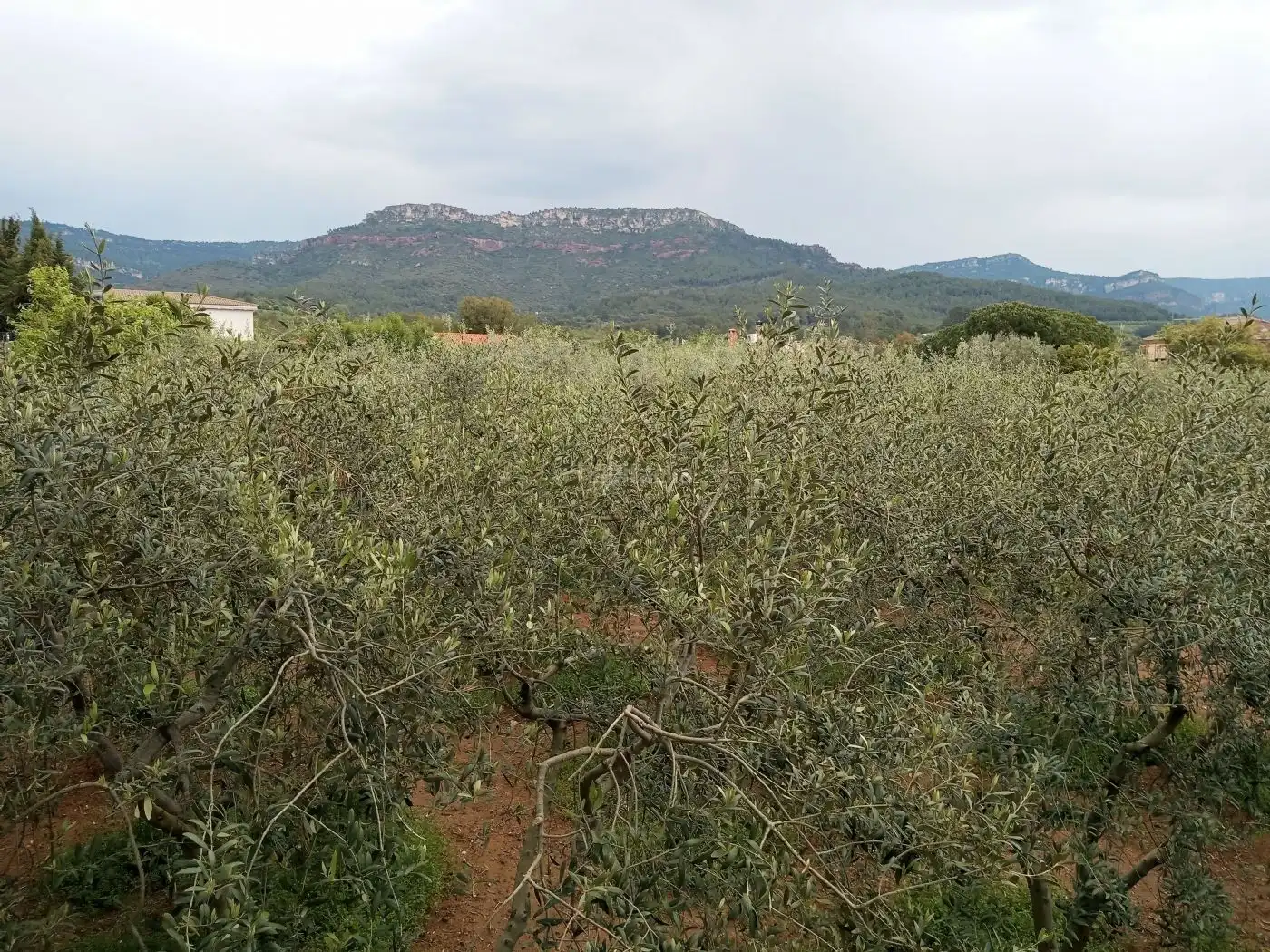 Terreno residencial en venta en Urbanitzacio Portugal 97C, imagen 10