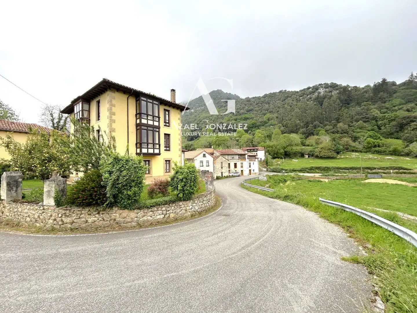 Exterior view of Houses for sale in Peñamellera Baja  with Private garden, Terrace and Storage room