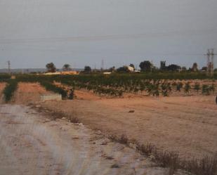 Industrial land for sale in Elche / Elx