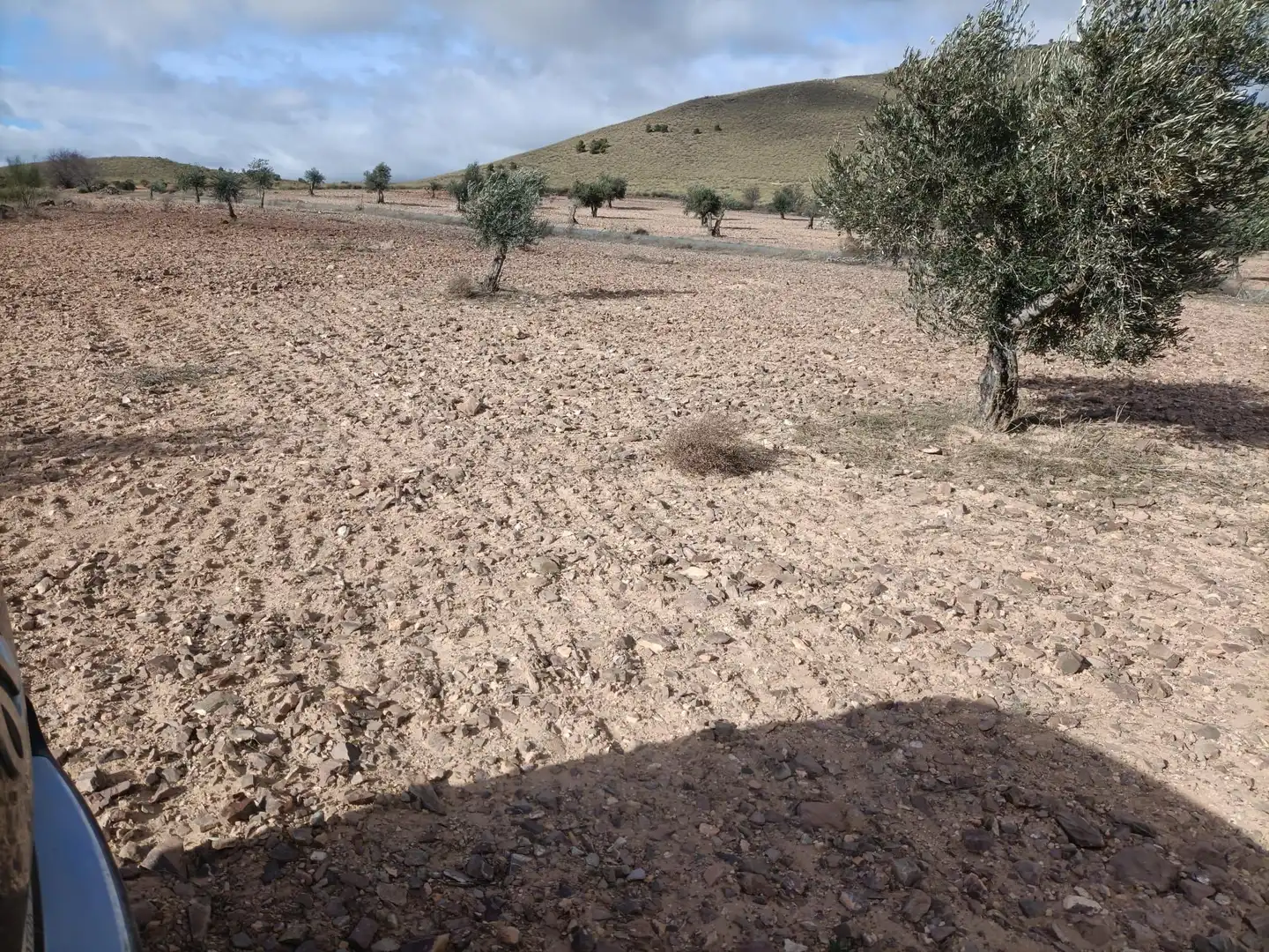 Terreno rustico in vendita a Nambroca, imagen 4