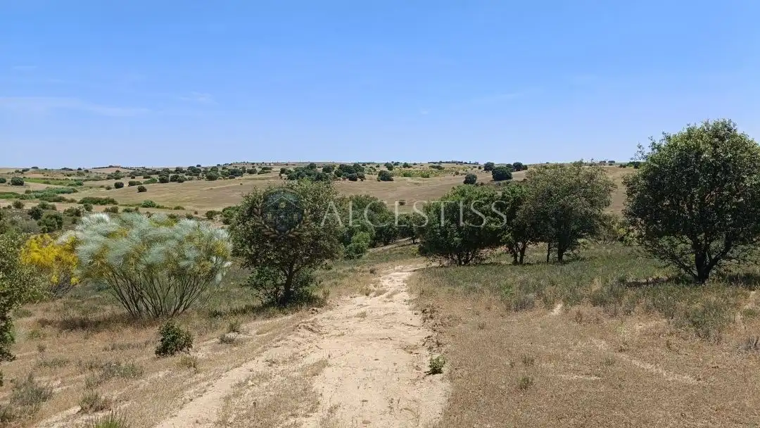 Terreno en venta en La Torre de Esteban Hambrán