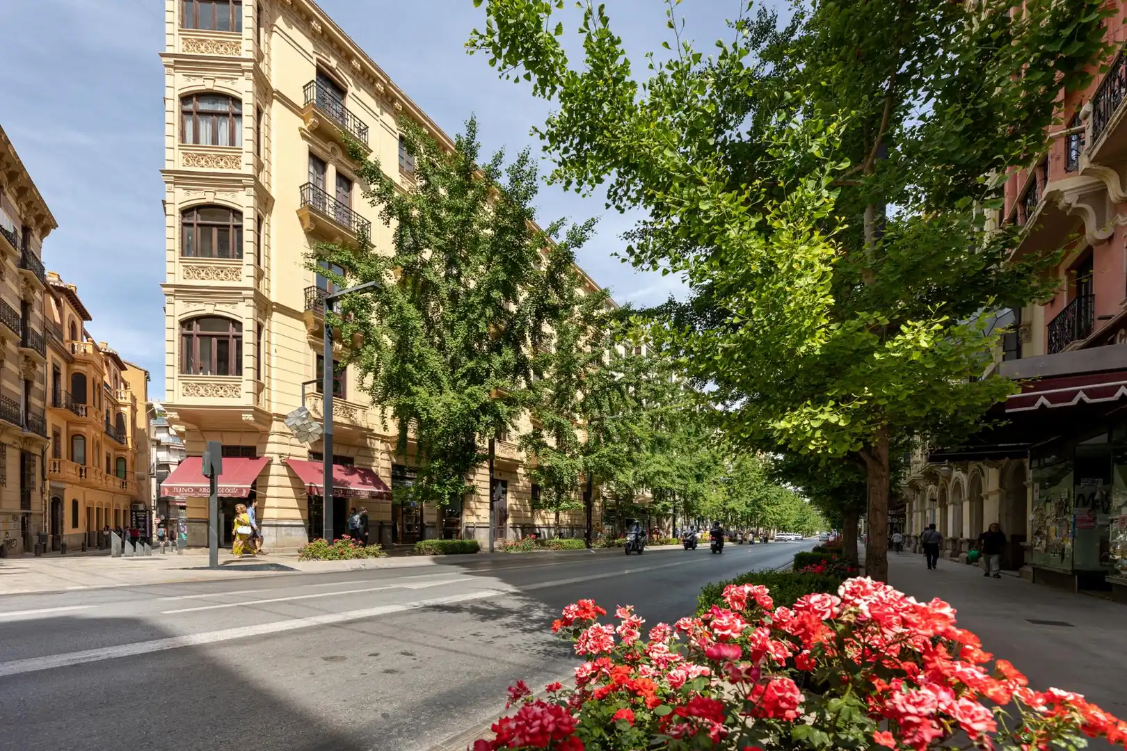 Vista exterior de Apartament en venda en Granada