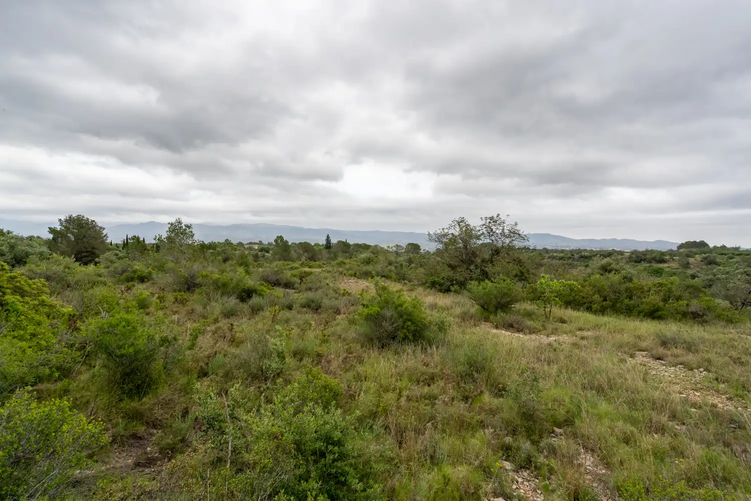 Terrain rustique à vendre à Camí Vell del Cementiri 4, imagen 10